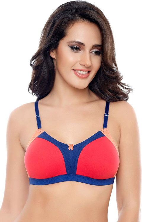 Seamless Wire Free Bra in Pakistan Wire Free Bra Seamless Bra