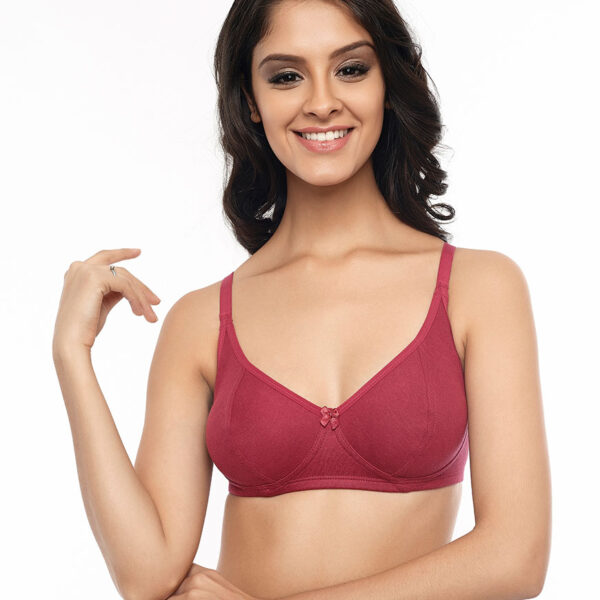 Colour Pop Non-Padded Wirefree Bra Pack of 2 Pakistan
