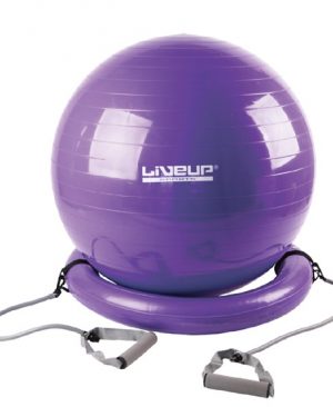 Gym Ball With Base & Expander