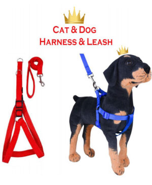 Easy Walk Puppy Harness With Leash Pakistan